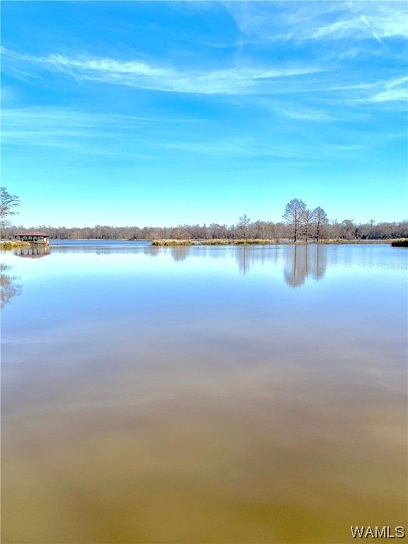 80 Black Warrior Bay, Sawyerville, AL 36776 MLS 160487 Zillow