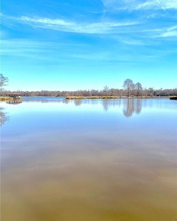 80 Black Warrior Bay, Sawyerville, AL 36776 MLS 160487 Zillow