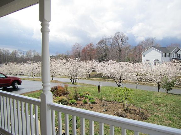 View from front porch 