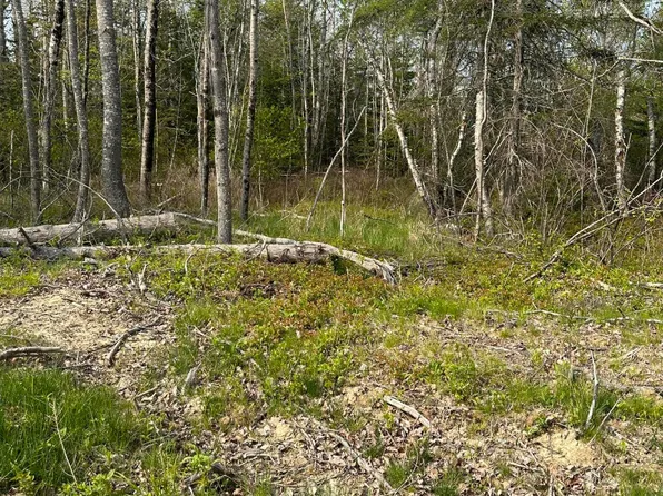 TBD Cates Road, Harrington, ME 04643