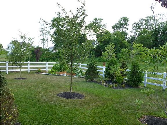 Spacious rear yard adjacent to open space