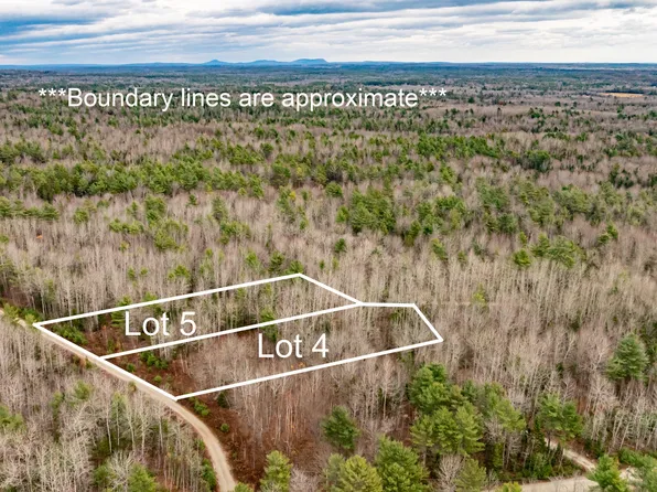 M10 L29A5 Miller Lane, Surry, ME 04684