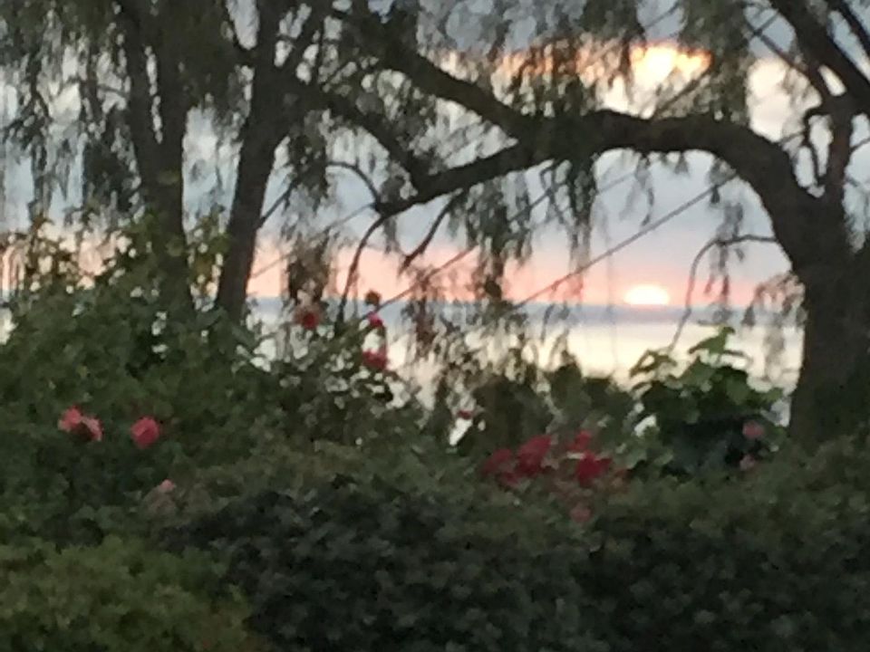 SUNSET VIEWS