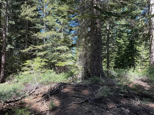 1 Blue Rock Trl, Arnold, CA 95223