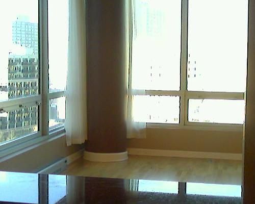 5th image of 1841 S Calumet Ave APT 1408