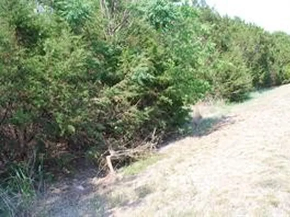 5017 Horseshoe Dr, Whitney, TX 76692