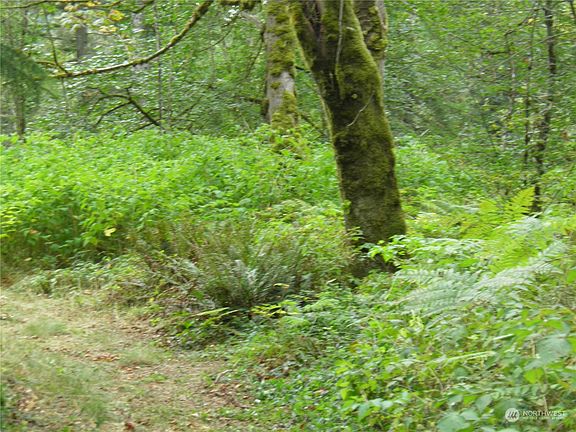 3rd image of 1110 350th Avenue SE