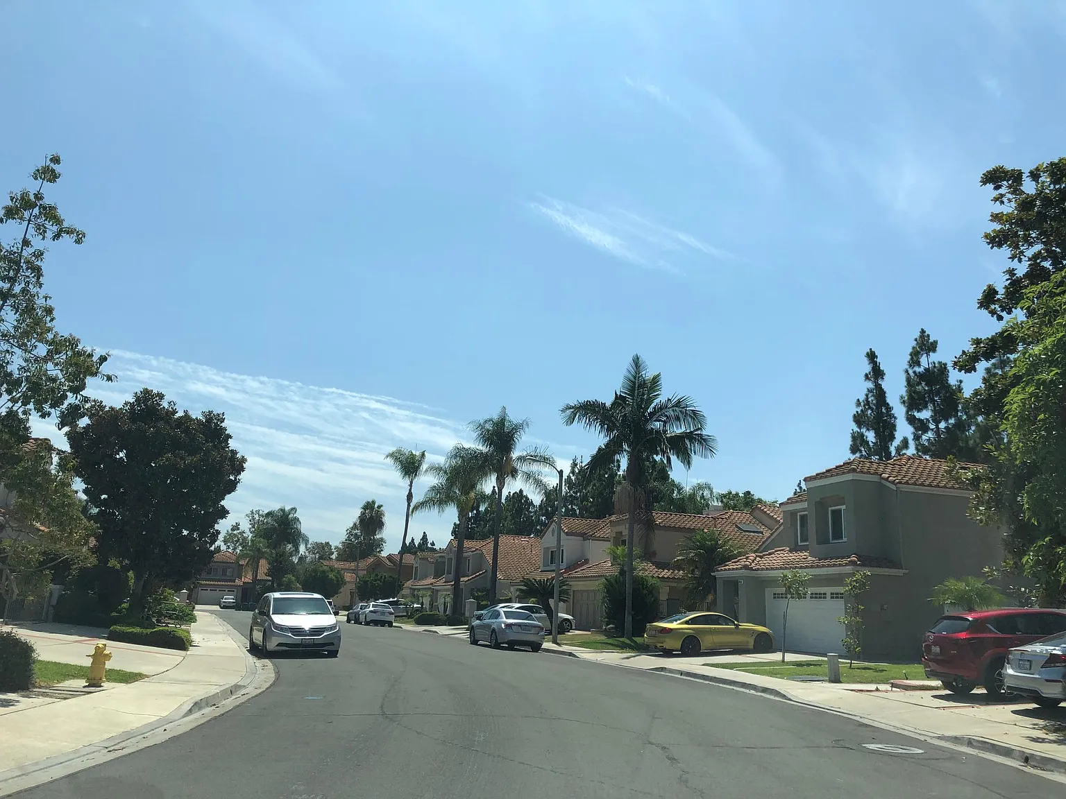 1 bed, 120 sqft, $1,500 — Photo 4