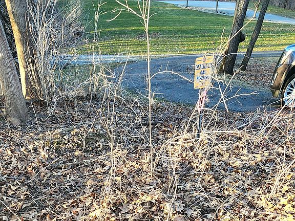 5th image of 6000 Us Highway 12 Rd