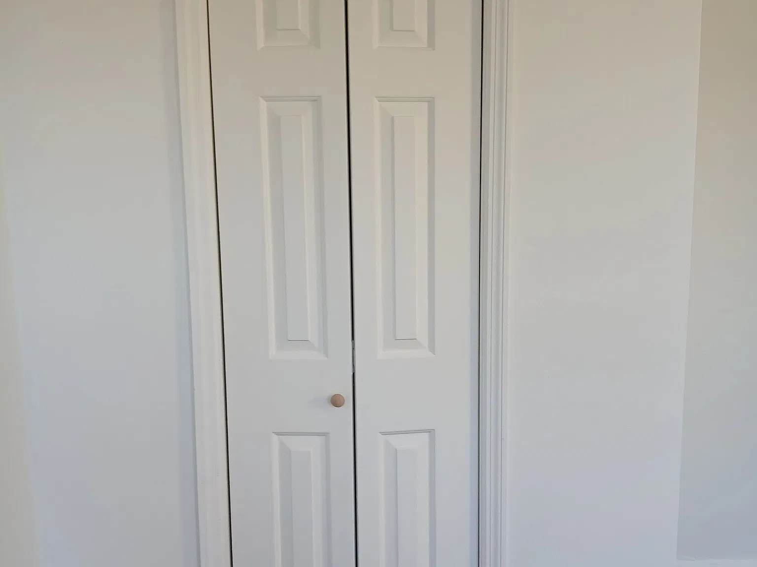 1 bed, 800 sqft, $1,300 — Photo 1