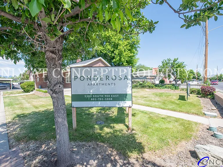 Ponderosa — Photo 76