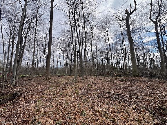 4th image of Schubert Ave NE