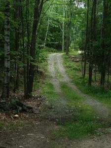 00 Old Wolfeboro Road, Alton, NH, 03809