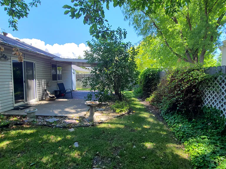 Shady Backyard