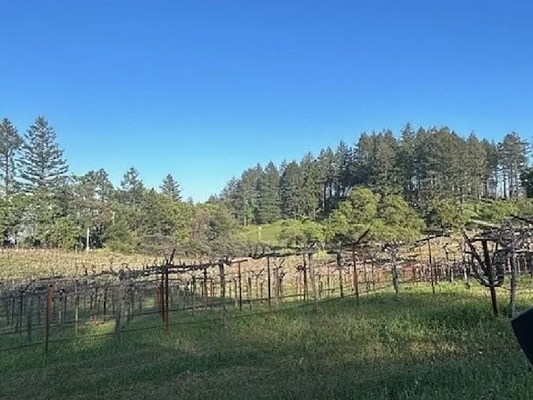 4011 Spring Mountain Rd — Photo 17