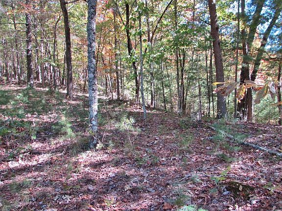 2nd image of LOT 30 Oceola Dr
