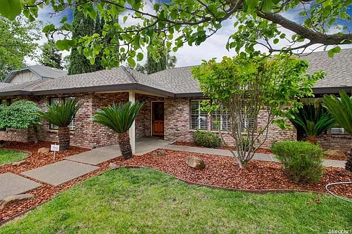 1807 Blue Jay Dr Photo 1