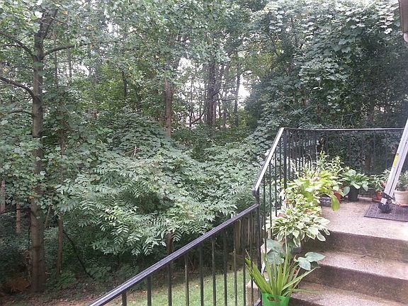 3rd image of 3631 Silver Spruce Cir