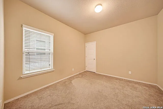 8311 Prickly Oak — Photo 18
