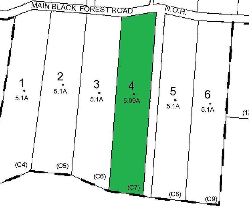 163 Black Forest Road, Glen Spey, NY 12737 MLS H6264075 Zillow