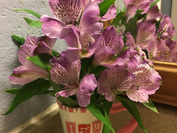 3rd image of 75340 Via Domingo