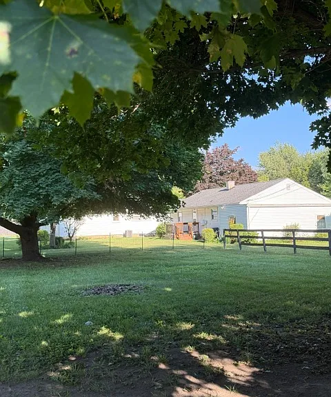 Back Yard 2