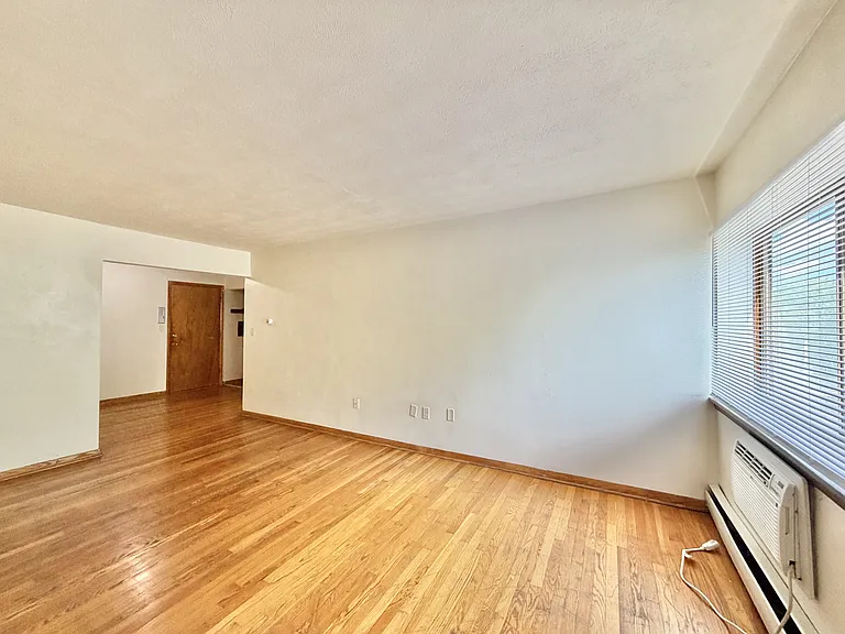 430 Harrison Ave #308 — Photo 8