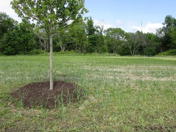 1006 Palisades Ct, Iowa Falls, IA 50126