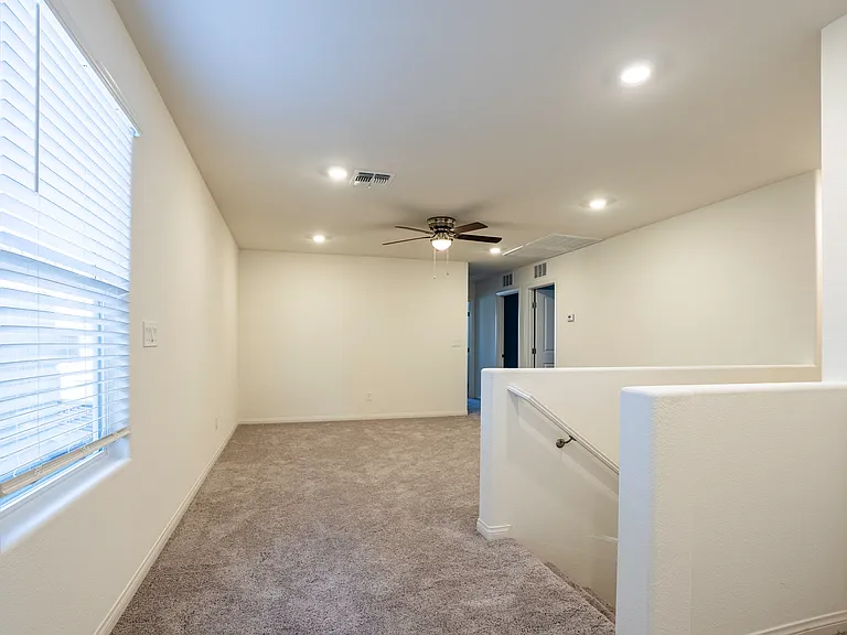 4160 Scarlet Cob Ave — Photo 23