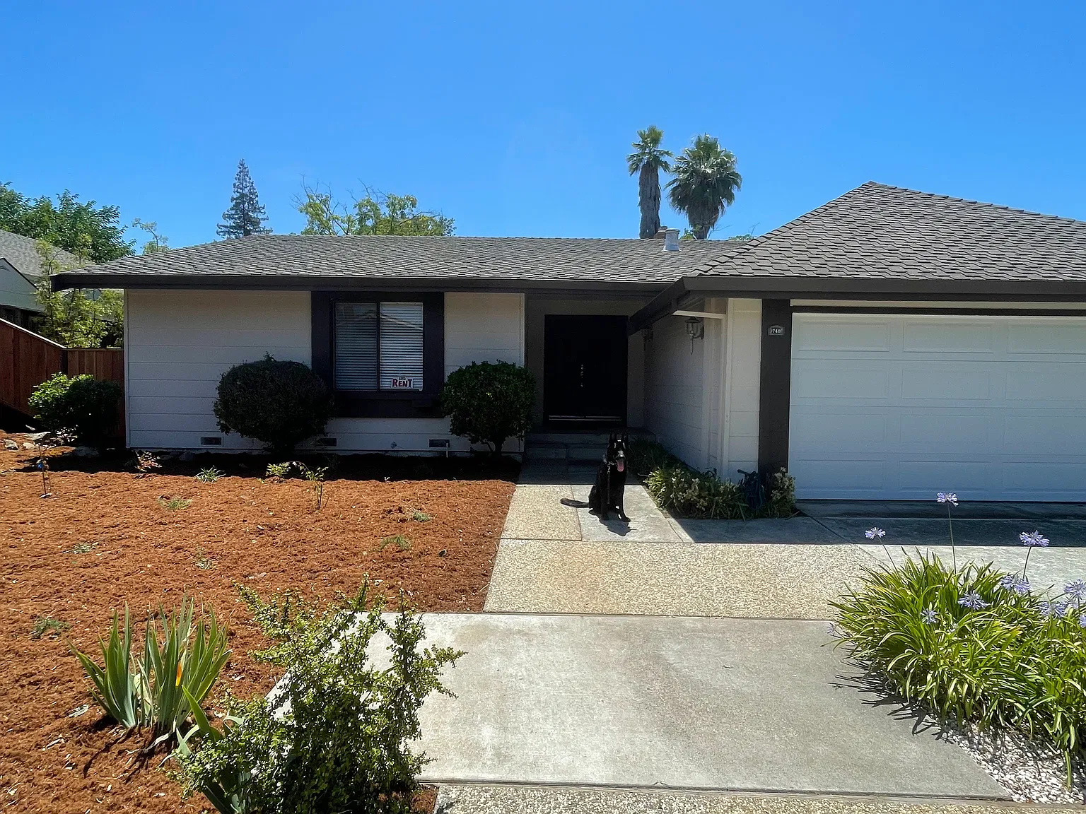 748 Casterwood Ct — Photo 1