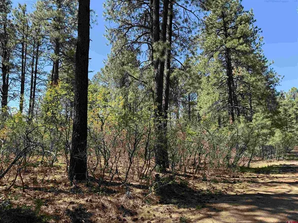 156 Lake View Circle, Bayfield, CO 81122