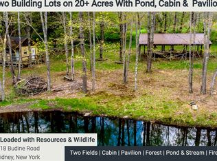 0 Budine Rd, Sidney Center, NY 13839