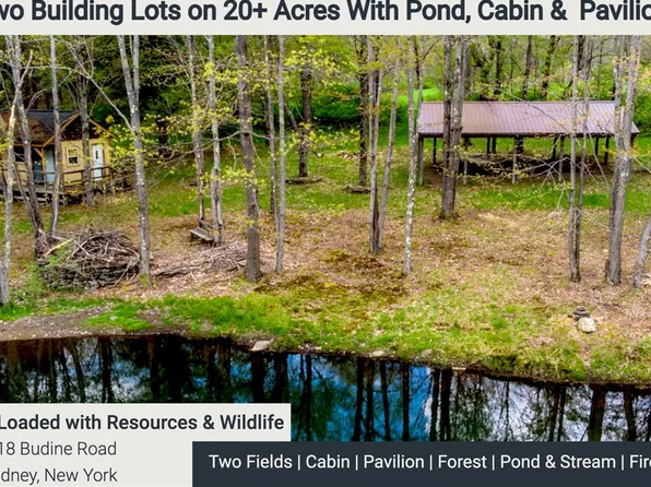 0 Budine Rd, Sidney Center, NY 13839