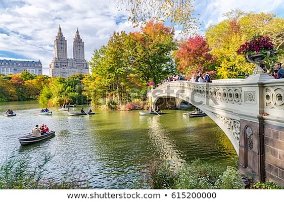 Rented by Douglas Elliman | media 33