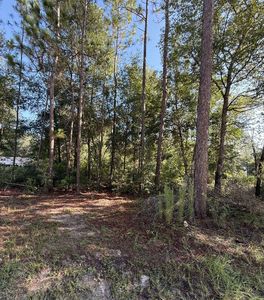 0 NE 74th Pl, Bronson, FL, 32621