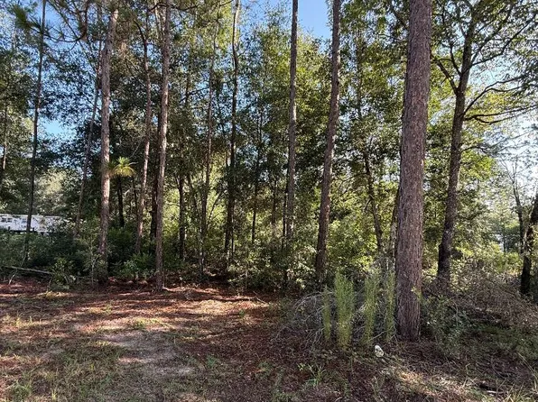 0 NE 74th Pl, Bronson, FL 32621