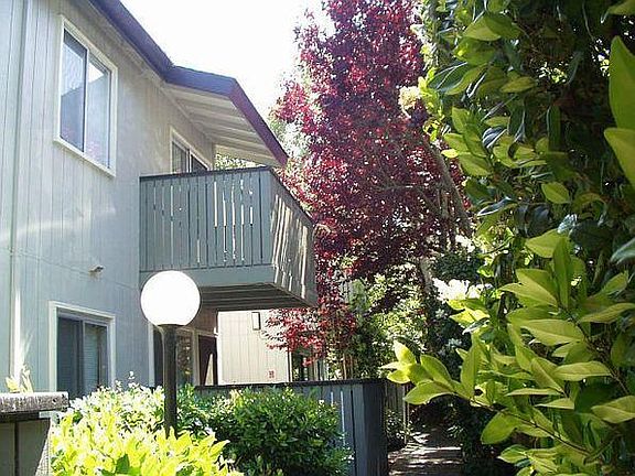 5th image of 403 Piccadilly Pl APT 8