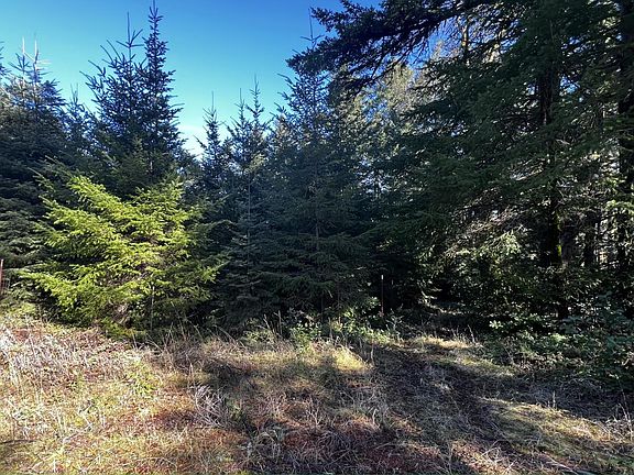 4th image of 15799 Skyline Blvd