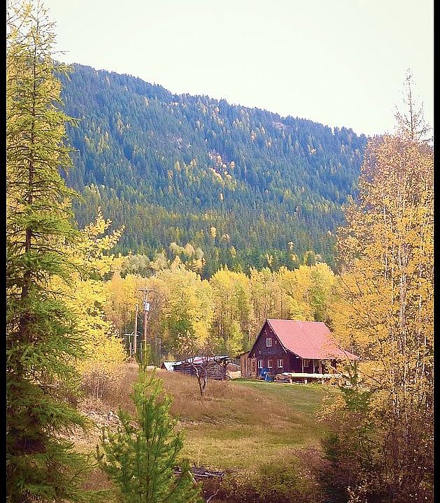 Old Cabin