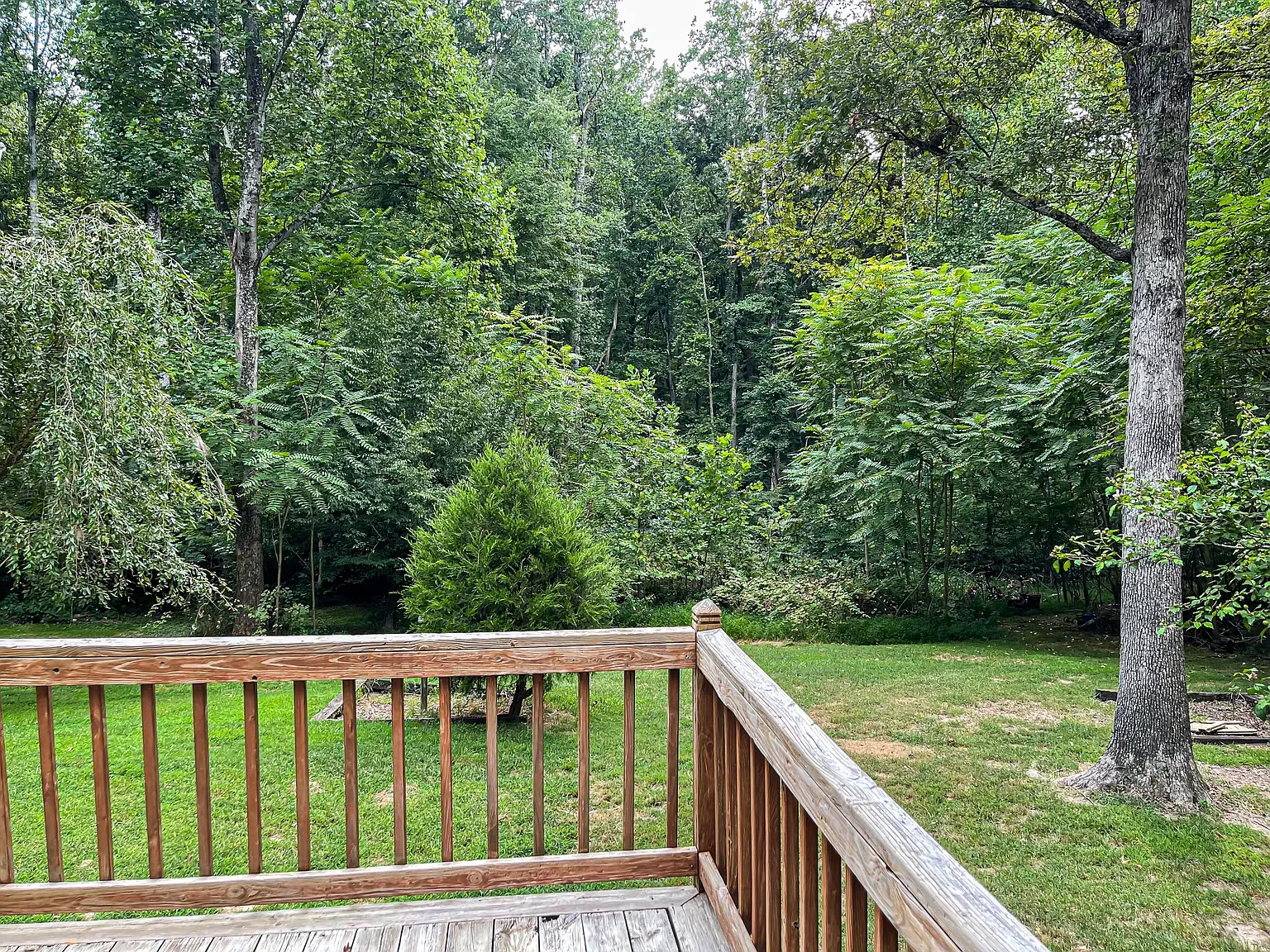 2 bed, 900 sqft, $1,950 — Photo 3