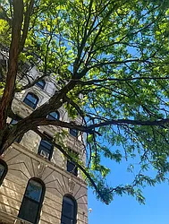 Rented by Dallien Realty Limited Liability Company