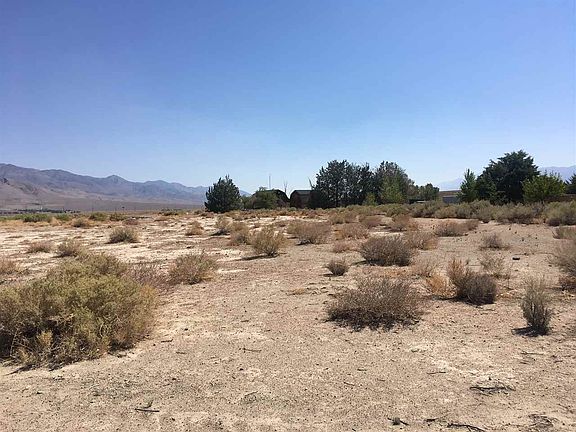 3rd image of Buena Vista