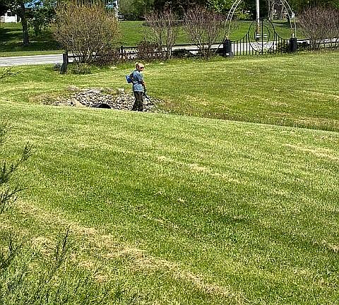 side yard