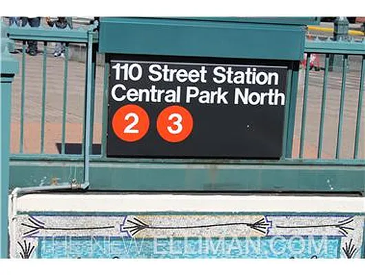 Rented by Douglas Elliman | media 16