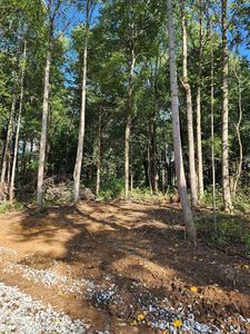 3 Port Williams Rd, Williams, IN, 47470