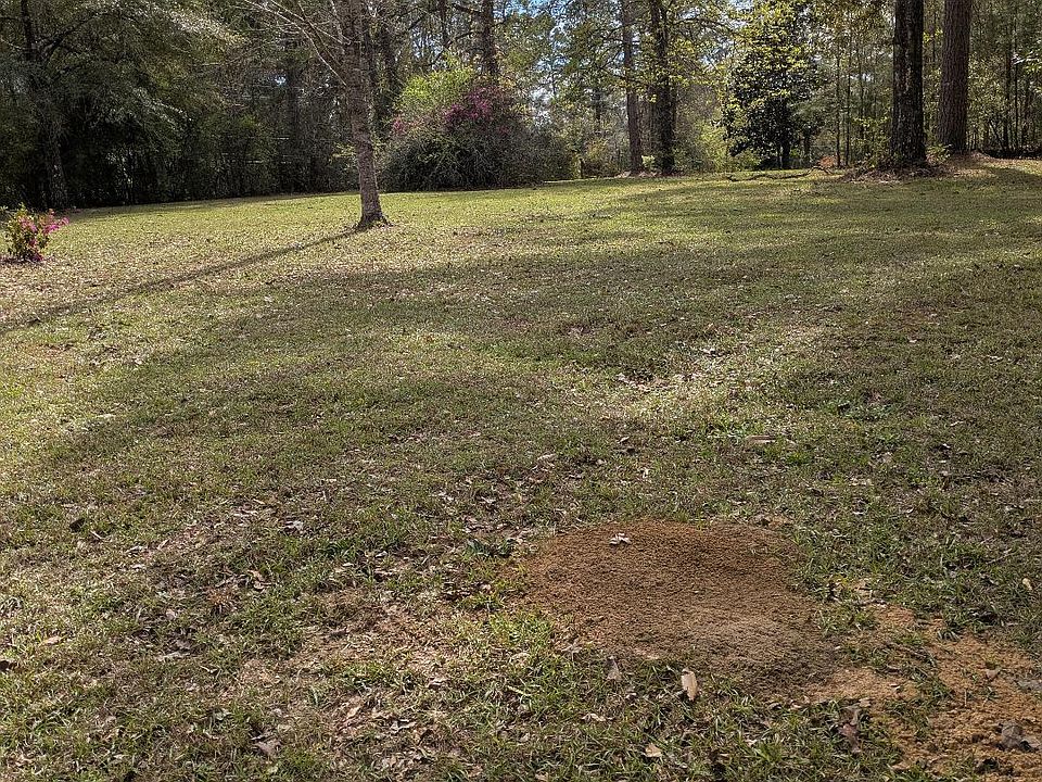 2nd image of 0 Corner Broad Briarwood