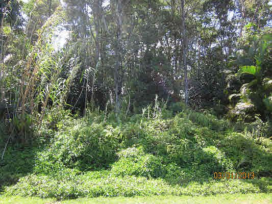 2nd image of Iao St Lot 4