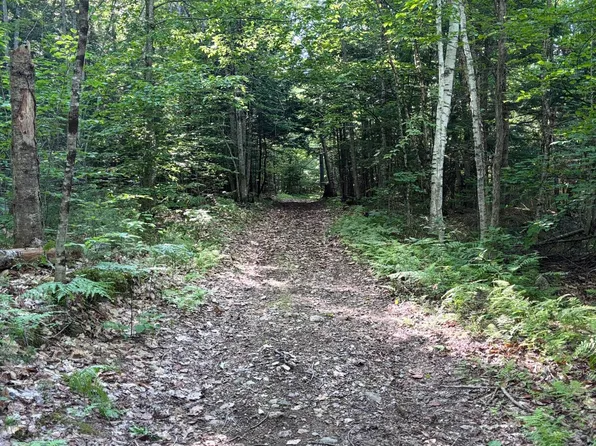 Lot #22 Streaked Mountain Road, Buckfield, ME 04220