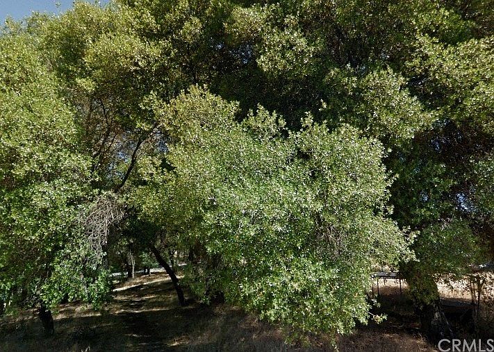 1st image of 14971 Saroni Pkwy