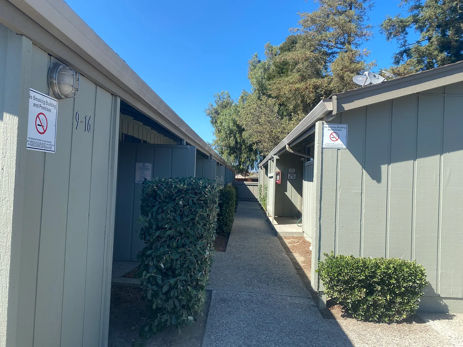 San Benito — Photo 4
